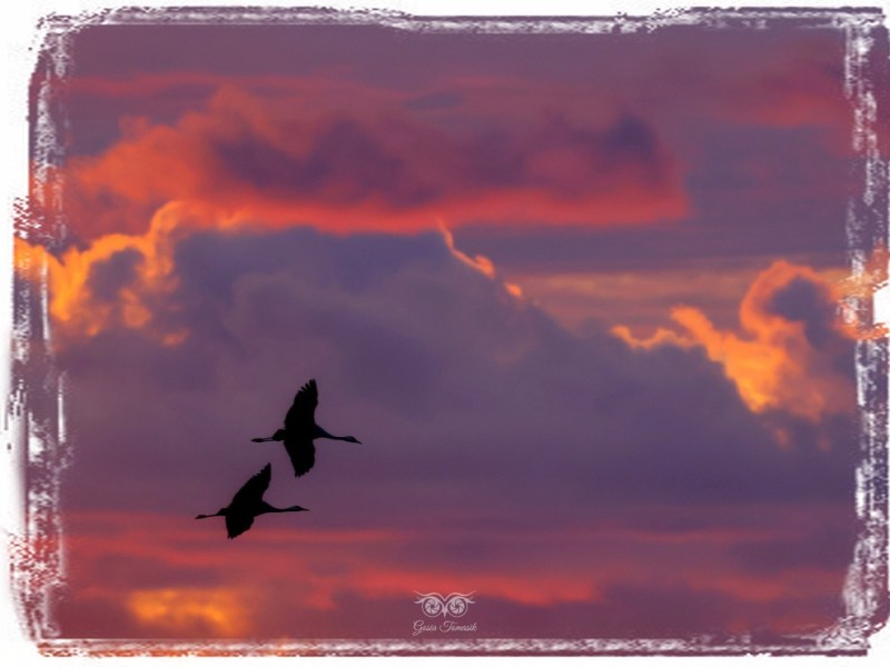 2025.10 – Październikowa Zatoka&nbsp;Gdańska