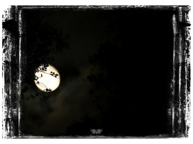 2025.11 – Hiszpania i jej magiczna dzikość&nbsp;serca