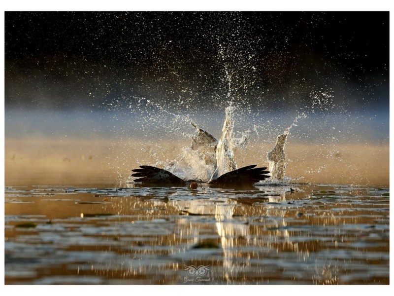 2025.12 – Tam gdzie spotkasz&nbsp;rybołowa