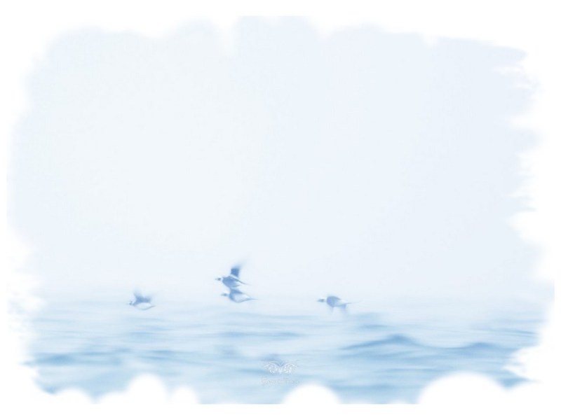 2026.02 – Półwysep Helski, Rezerwat&nbsp;Beka