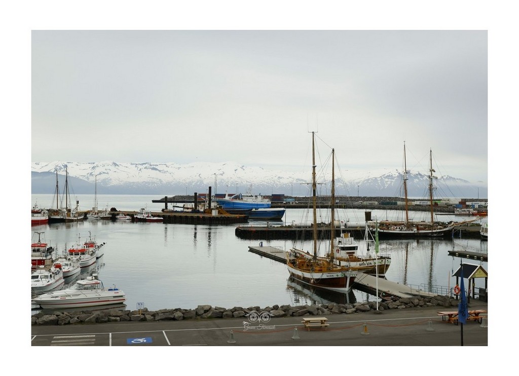 port w Husaviku